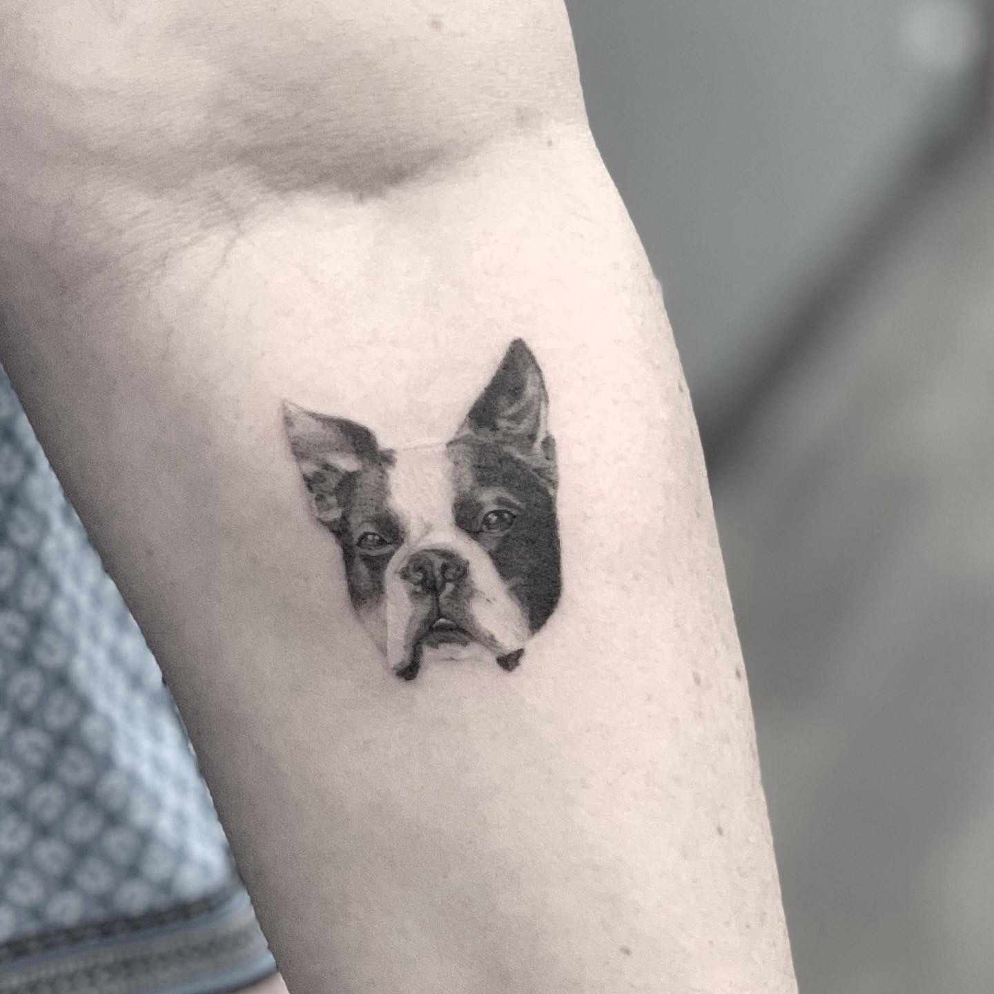 7ce12ba4-d1d4-43a2-b2e0-b88b88168b75