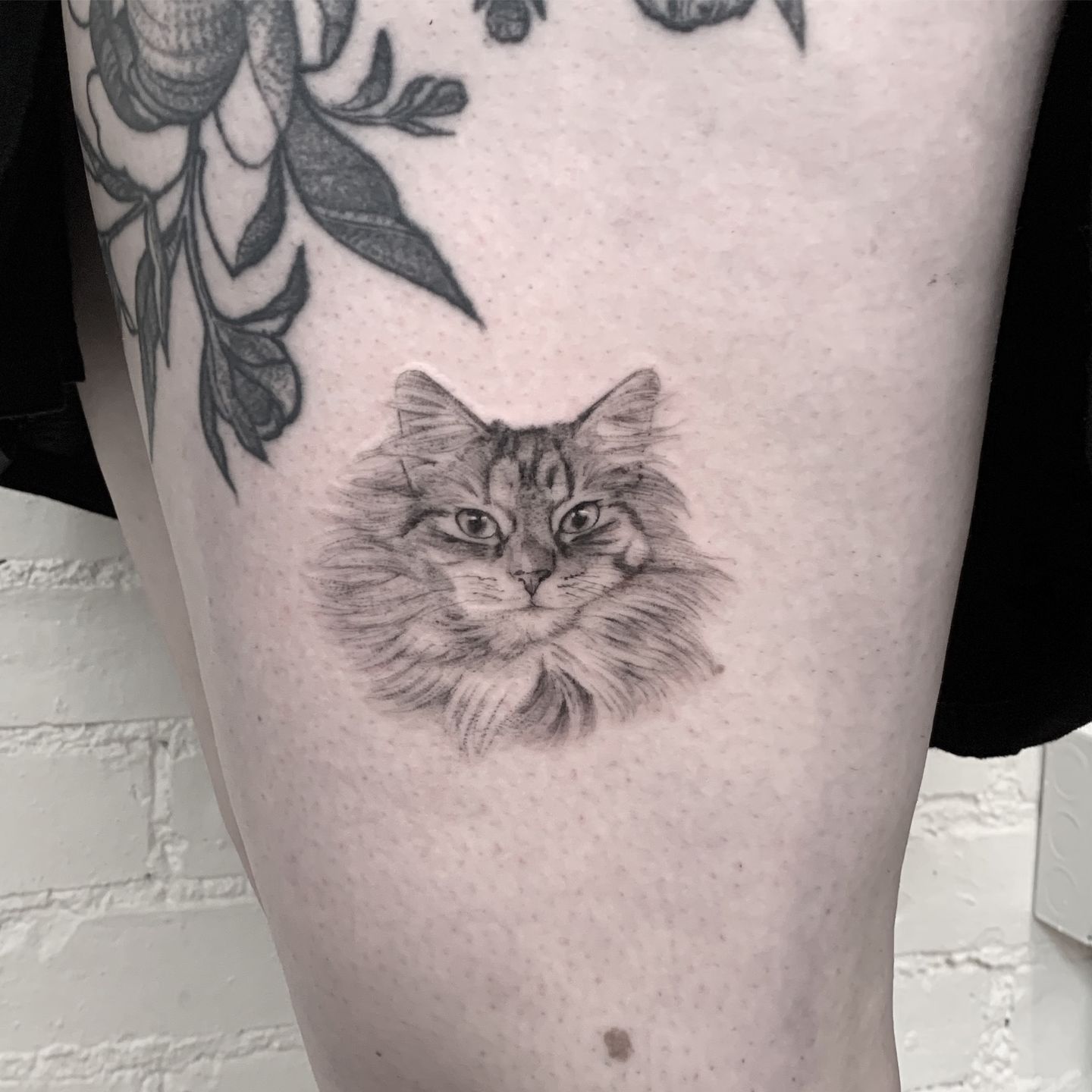 F772eb5a-4965-438c-a6eb-c1bbec41c26b