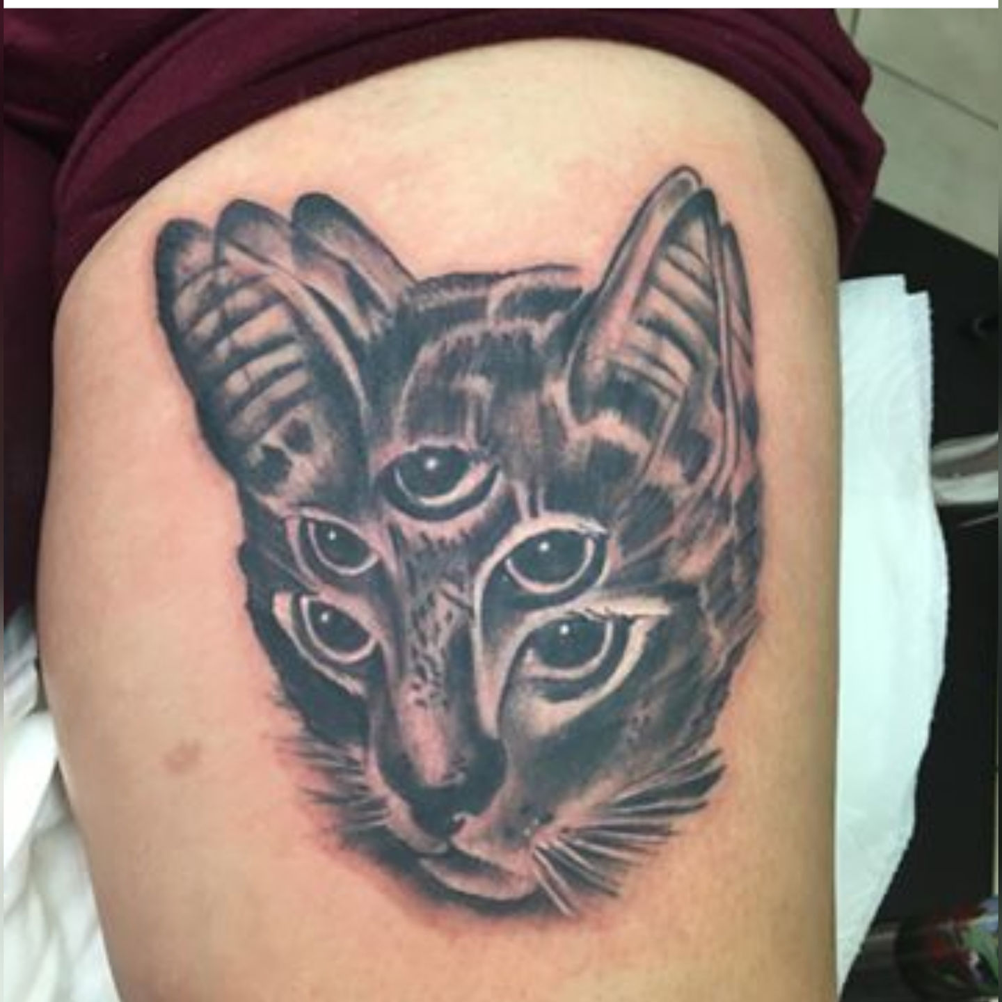 Incollage_20200204_213354955