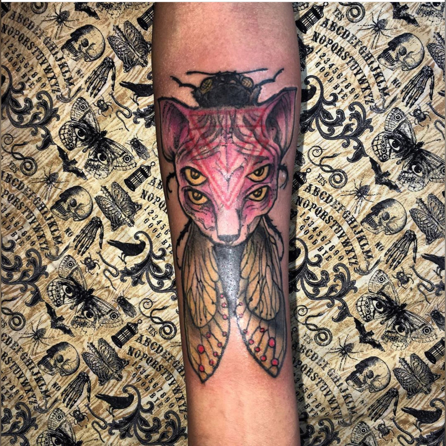 Incollage_20200204_213550789