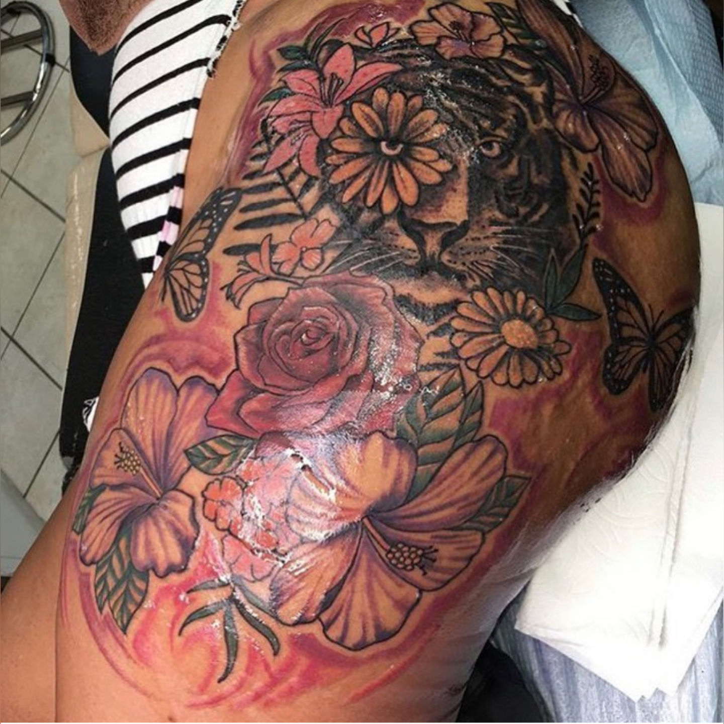 Incollage_20200204_213920154