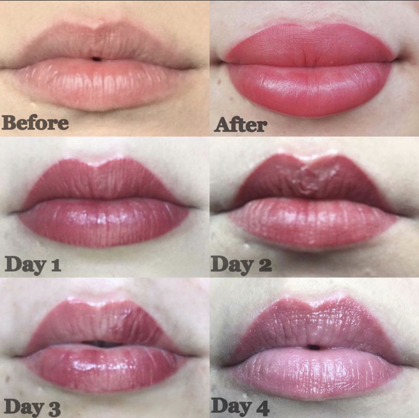 Edc78f91-eeee-4e85-942e-304ff738251a