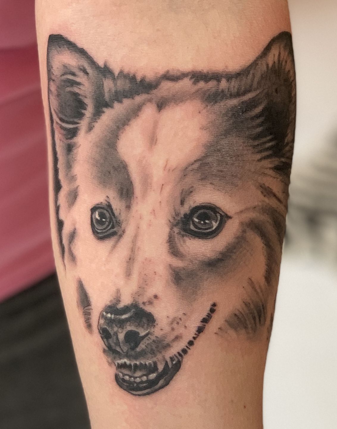 E420473a-0c3f-4ccc-b097-9ca2d260ee03