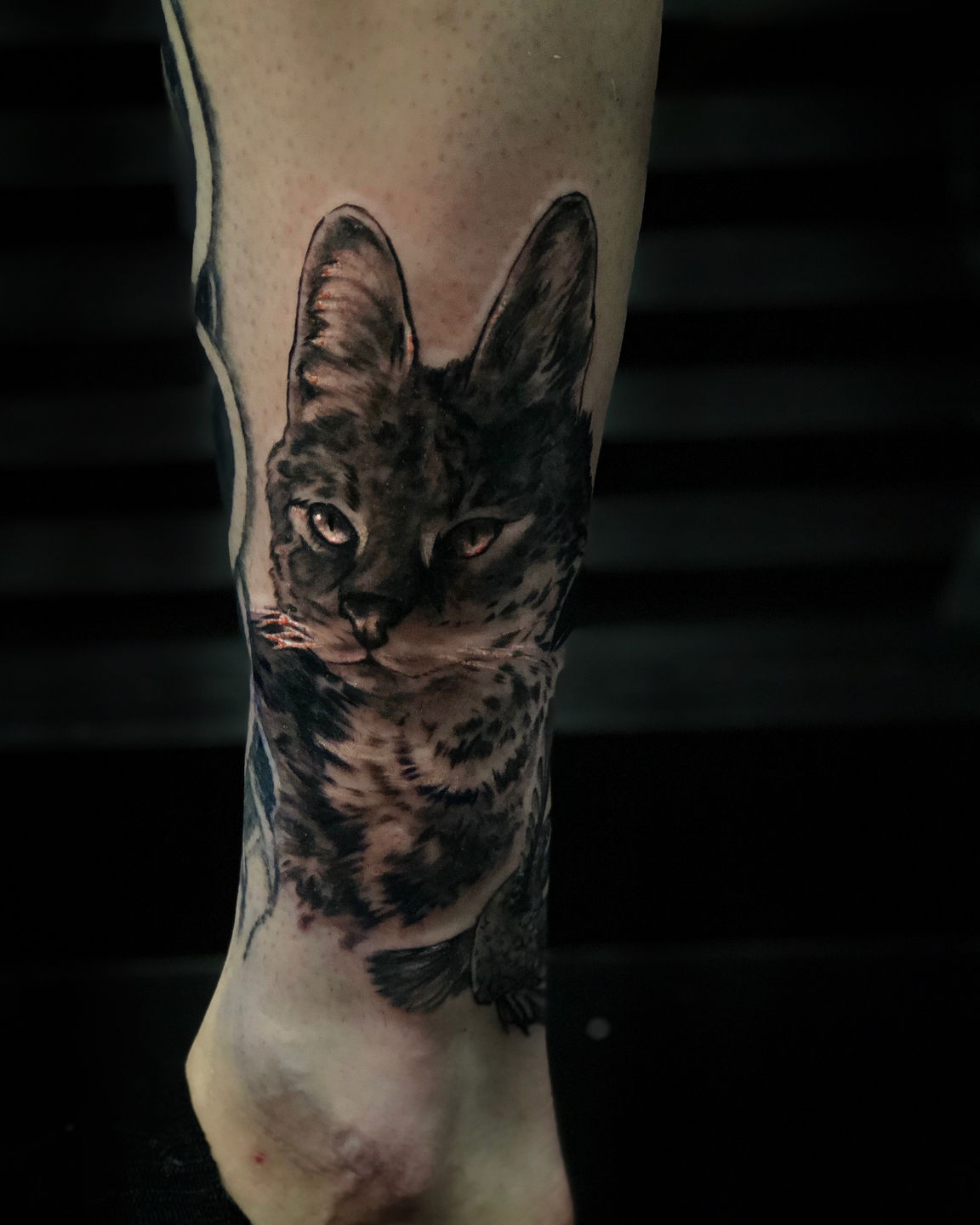 97d907af-041e-42f2-8efe-1f8cedf14f06