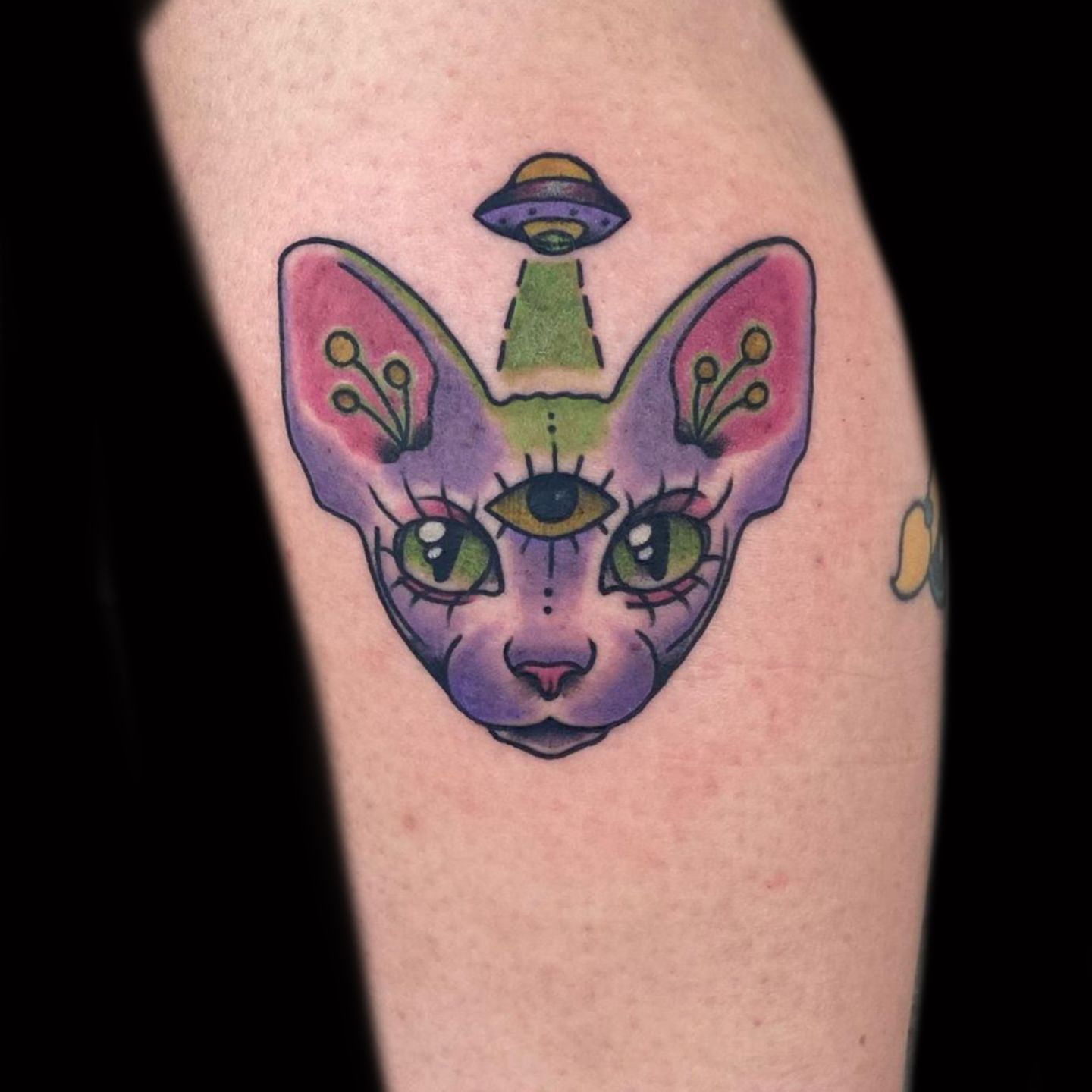 Aef3a6b0-4f39-4fd5-b1bf-9af818164e00