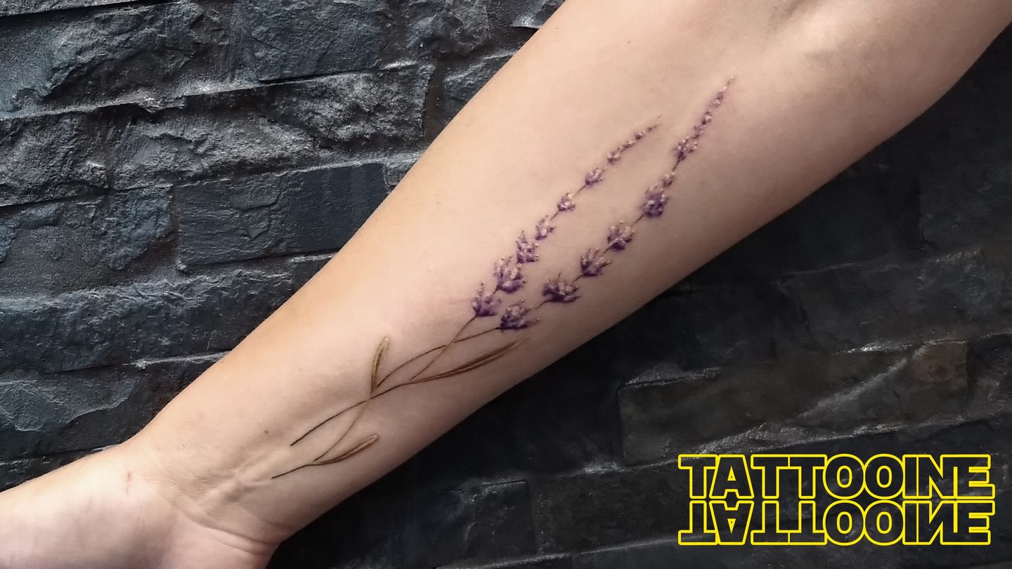 490419a1-b2f7-41b4-ad6d-75425b7acb60