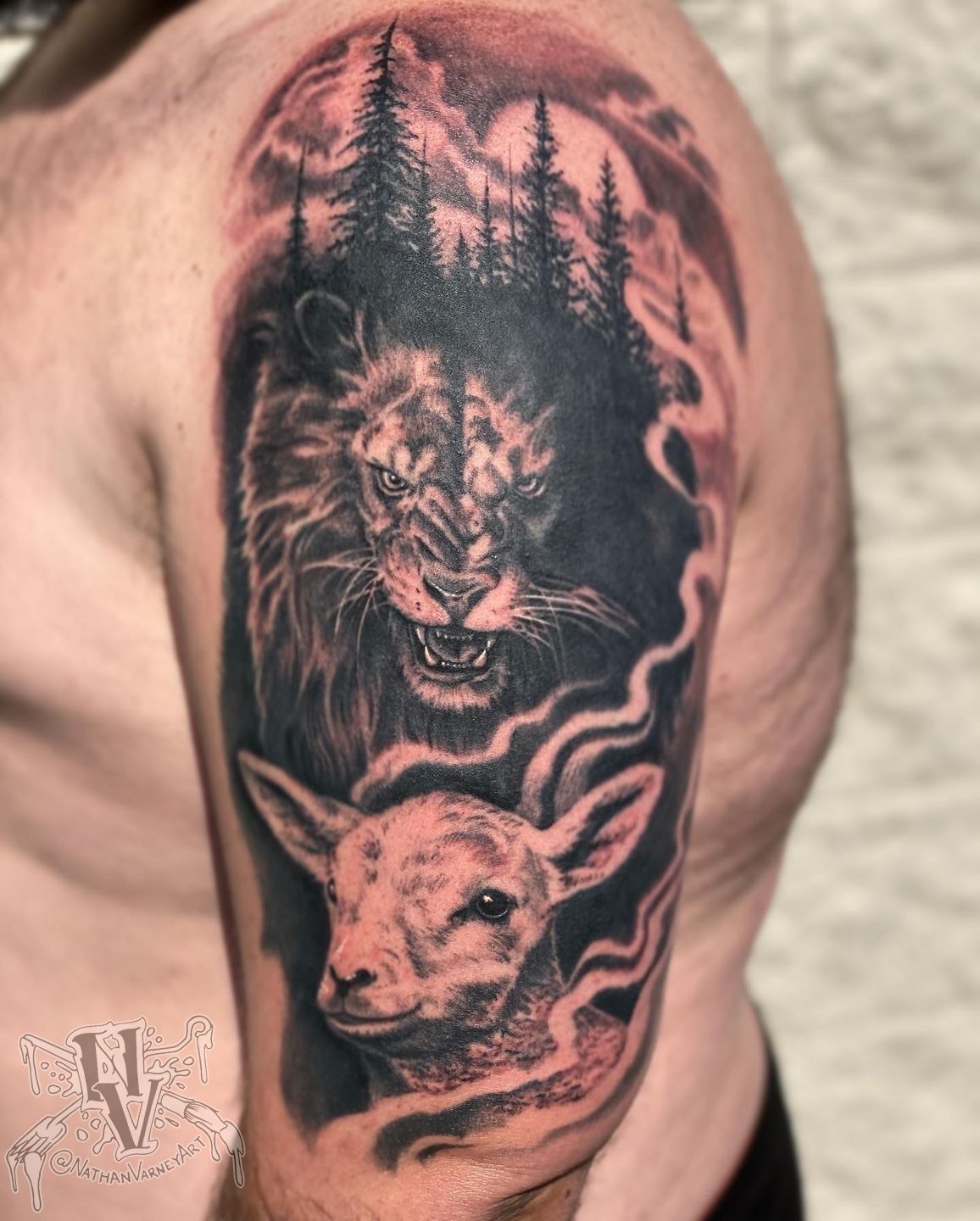 1d7fd051-e238-462d-a8e3-7a6af0f1a0d8