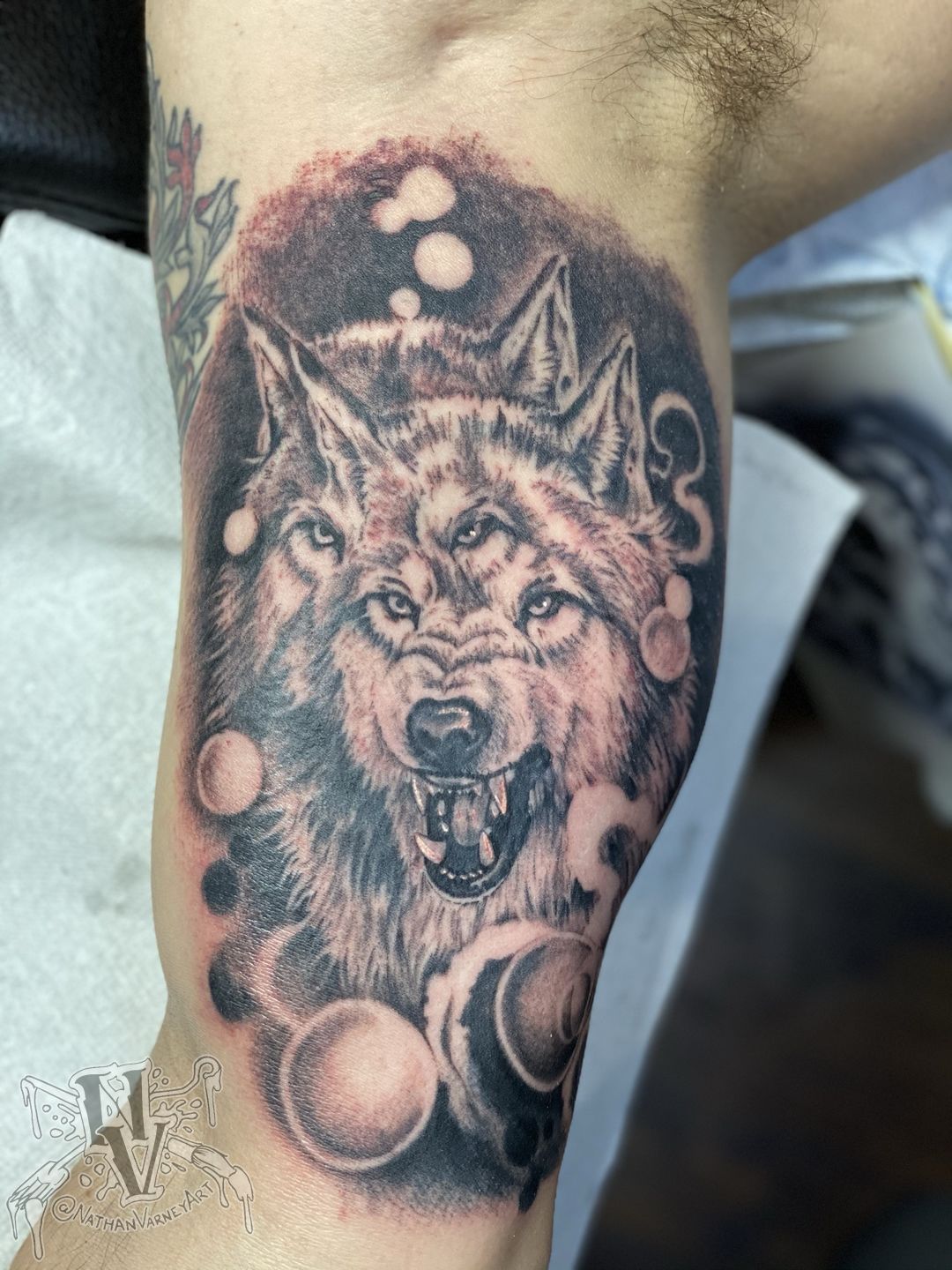 F924adac-86b0-45c2-ab39-8d9b1d7b2946