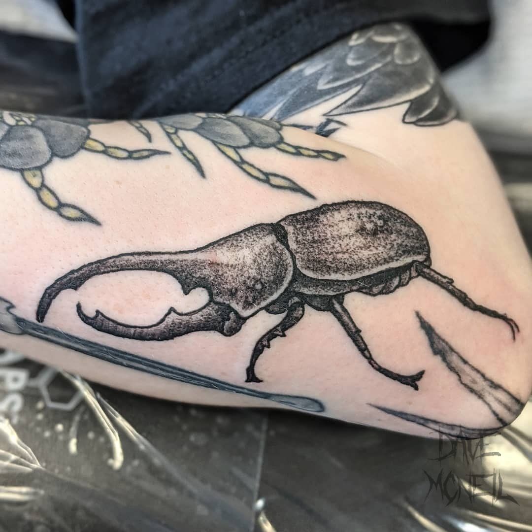 Img_20201107_152602_599