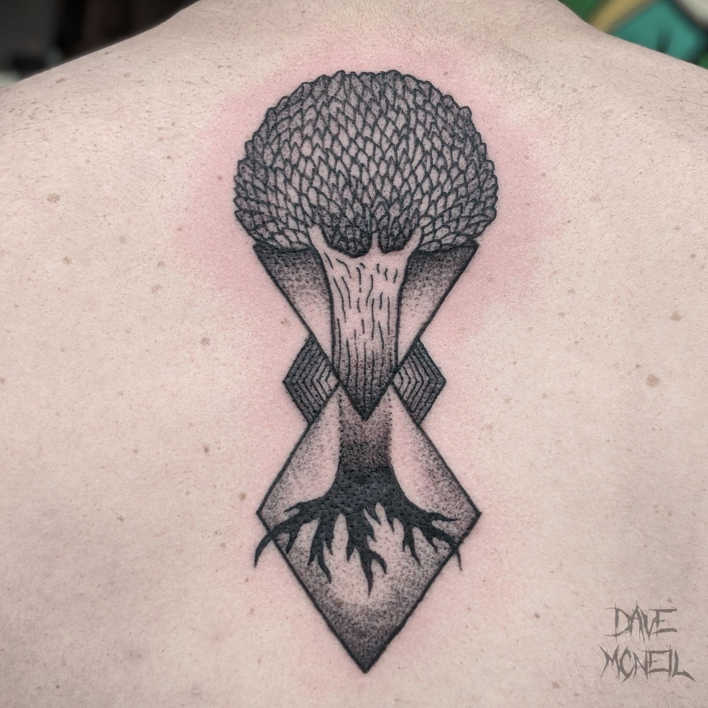 Img_20200829_132627_045