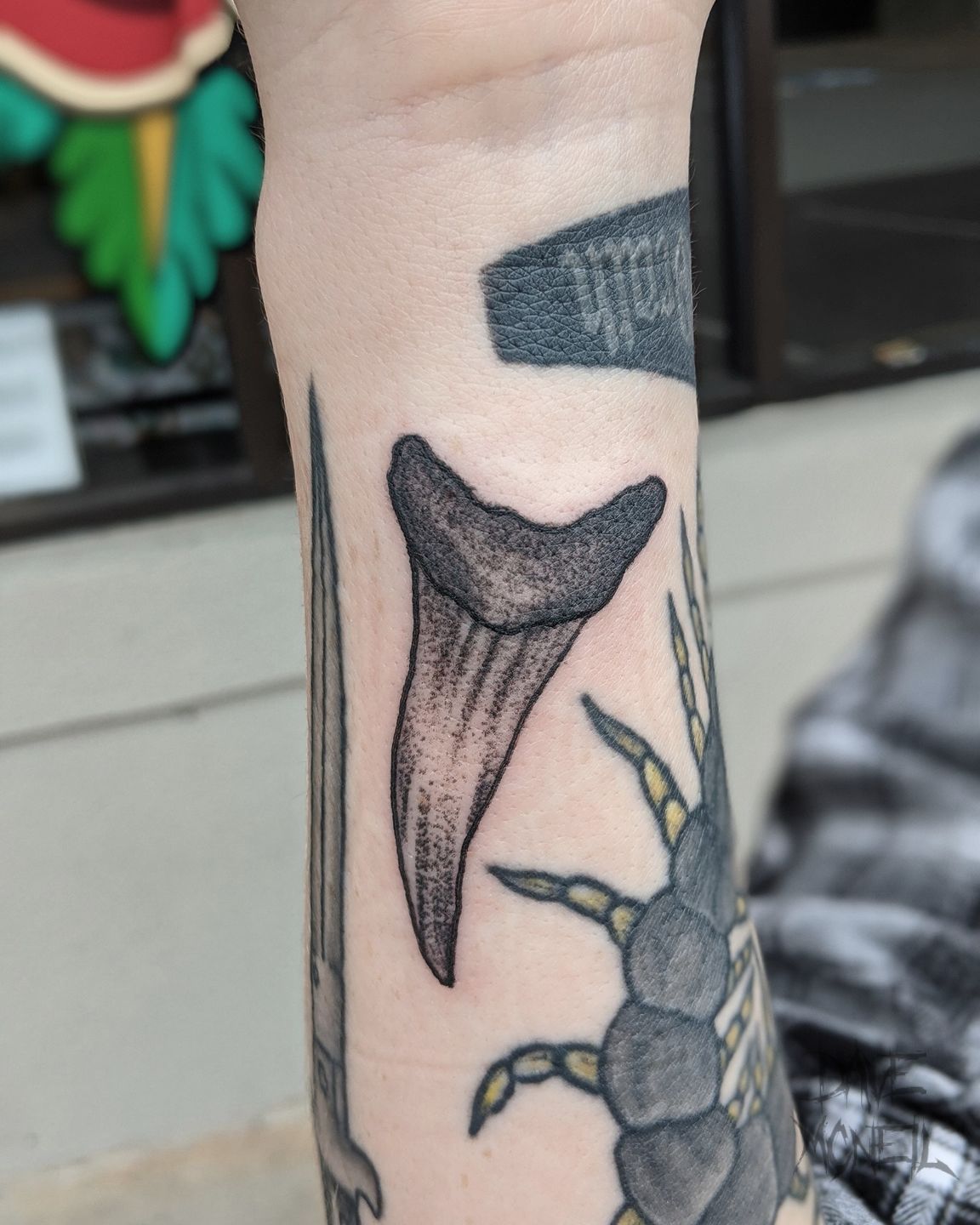 Img_20200922_180641_056