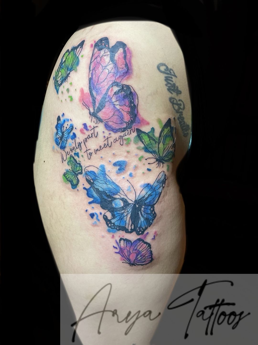 E2d7af96-61f4-4f98-b2c3-093d4173194f