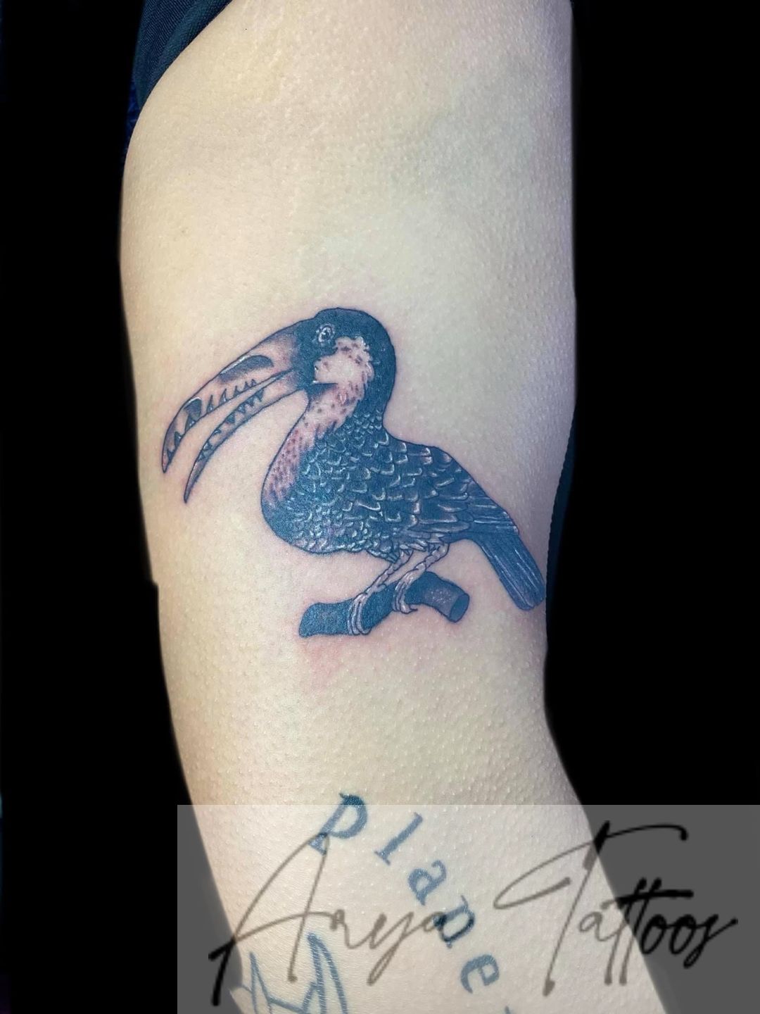 37a865ed-e632-4ad7-b6c9-de890a1246ab