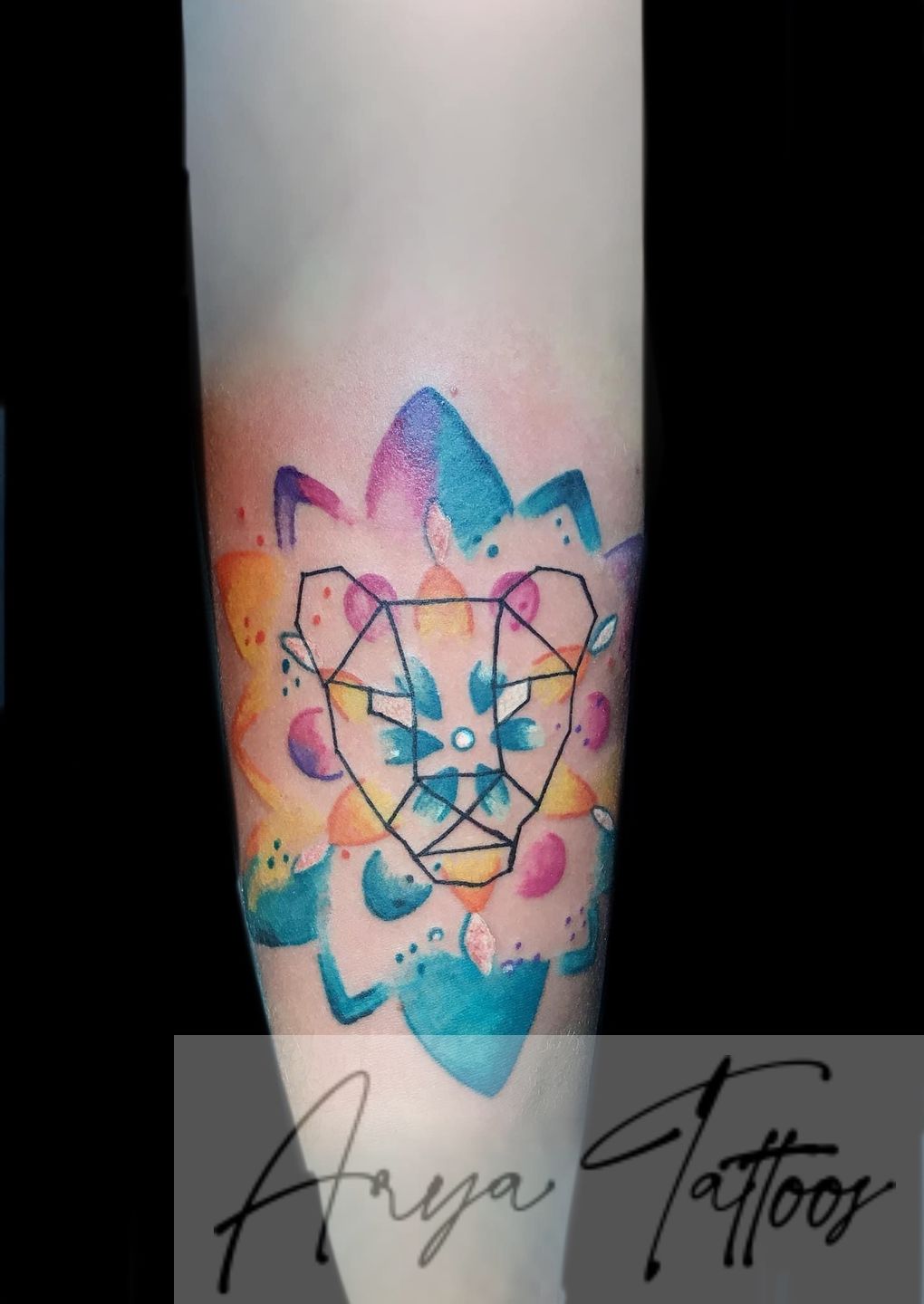 Bed88b66-3628-4604-9c31-ff7e55f3b0f3