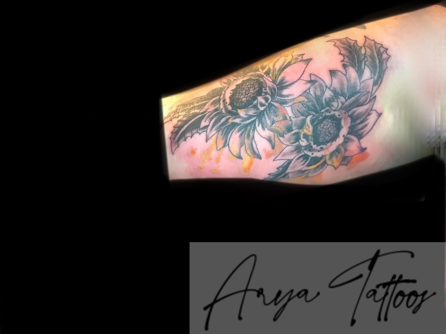 5563b206-4982-438d-9dd2-78b2a15be383