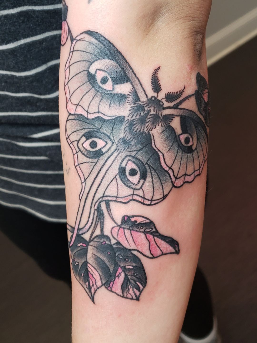 E2d0c173-20b1-4d0c-b299-997aeb4e7108