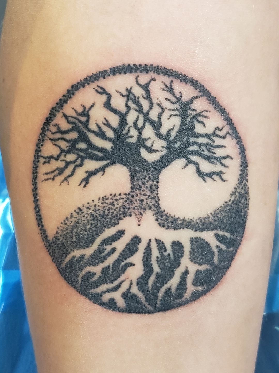 Dbad17bf-6361-4716-b048-20046d4e3554