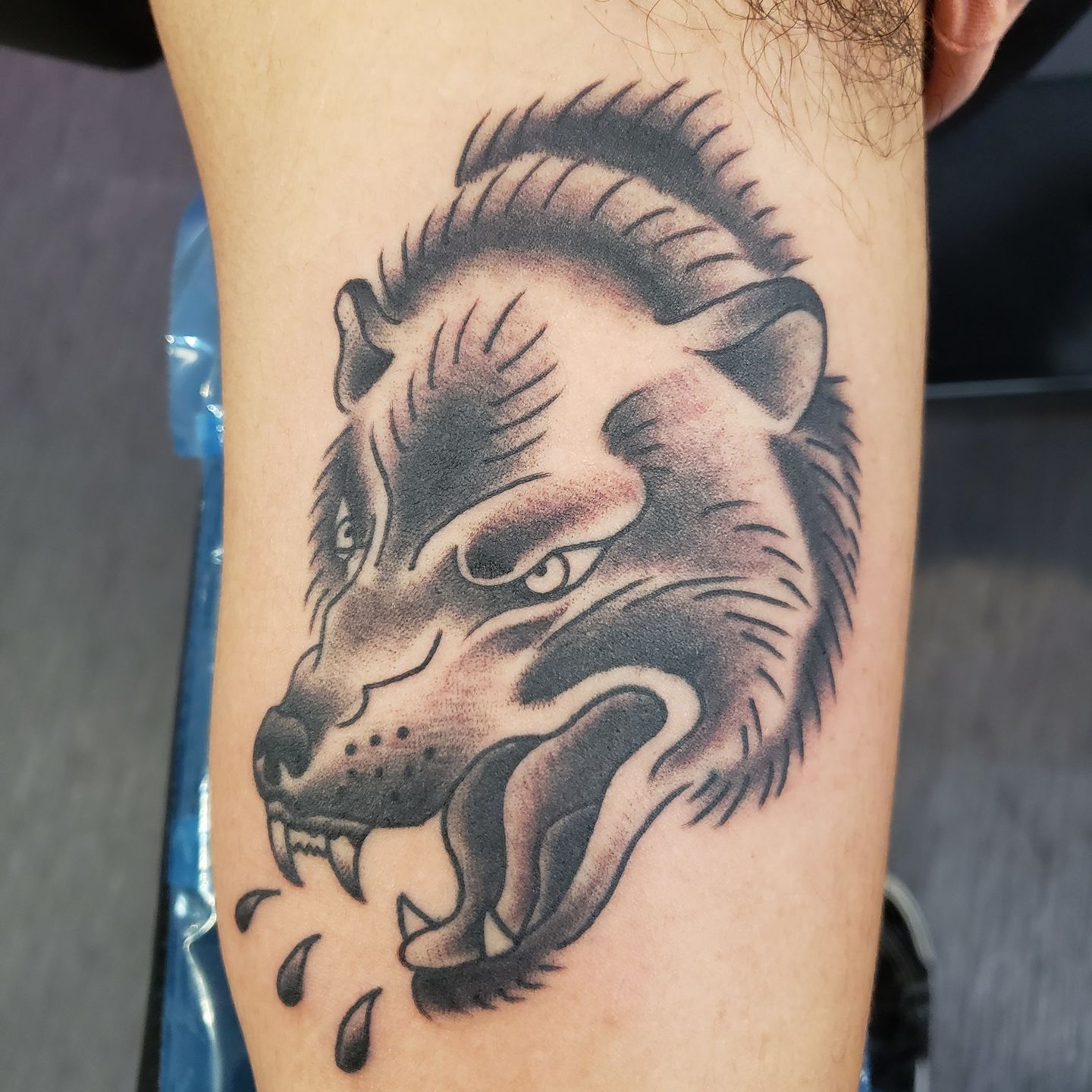 F4bbb7c8-df46-4b41-b229-739be1809bac