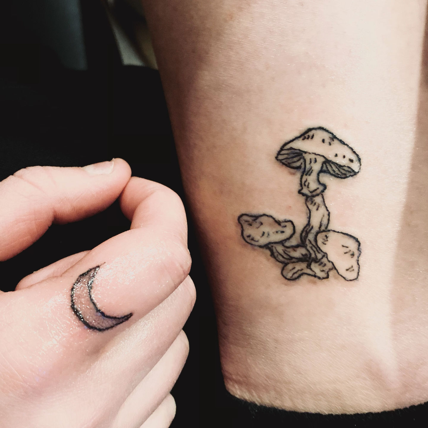 F0abc275-7a49-47b0-ae0d-9278e13a760f