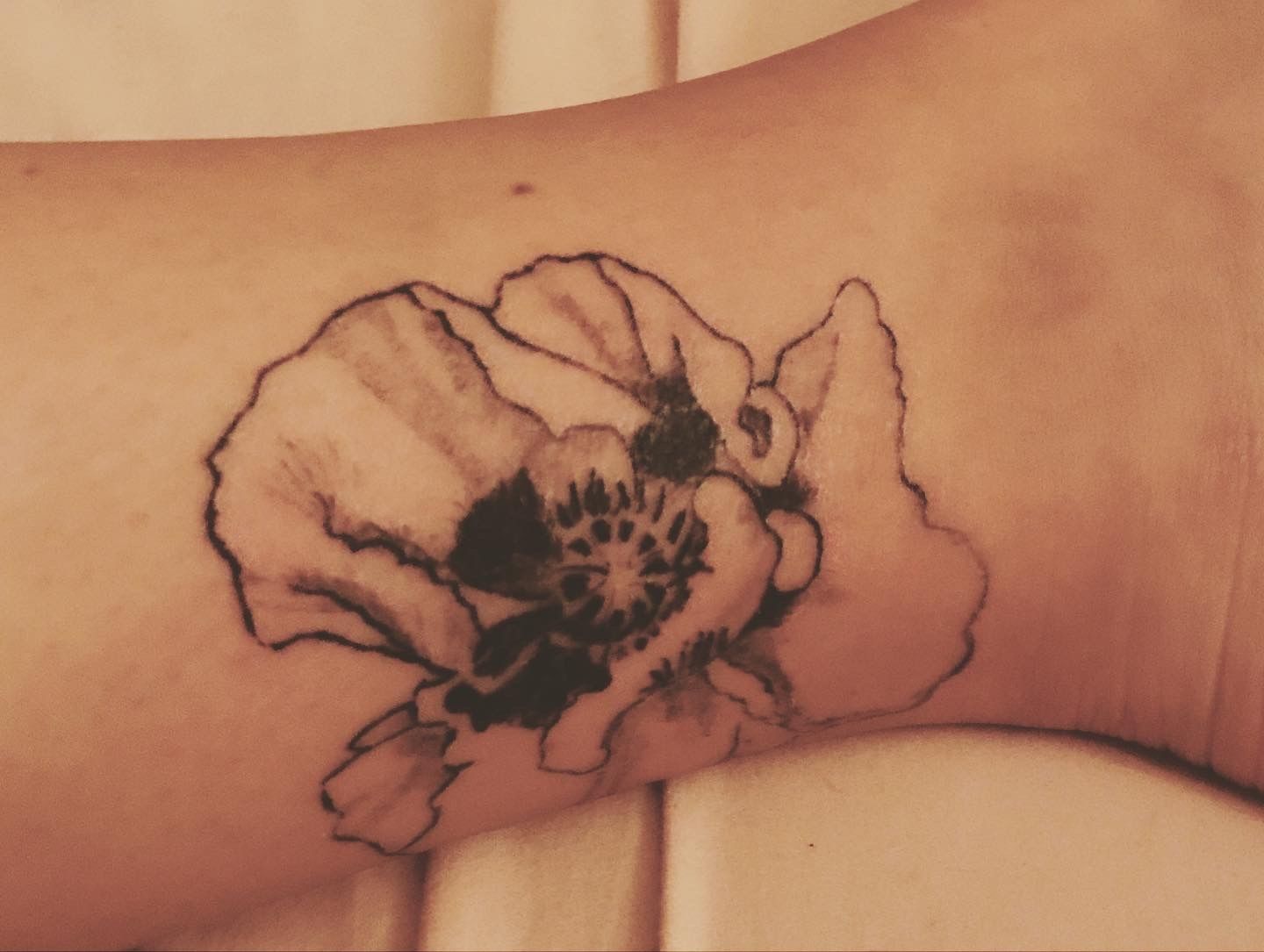 C14b5de7-cc2d-4426-be2c-acbeb62ca396