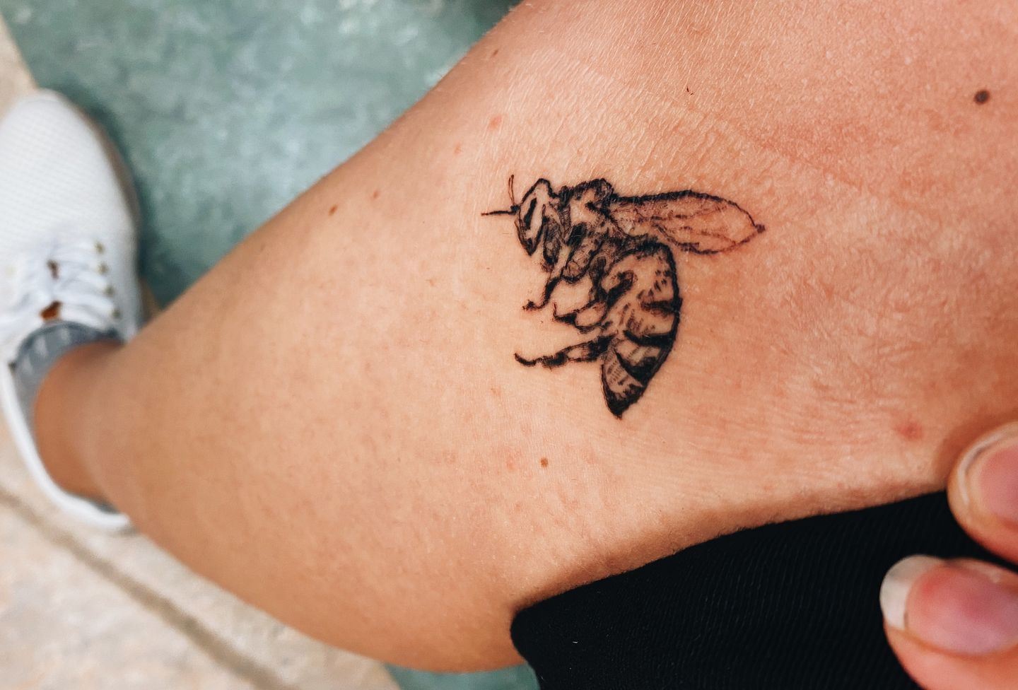 87773b0b-5df7-4245-80e4-963b49c4f0fe-f5cb368c-cc65-4e90-90ca-9c9928fe302f