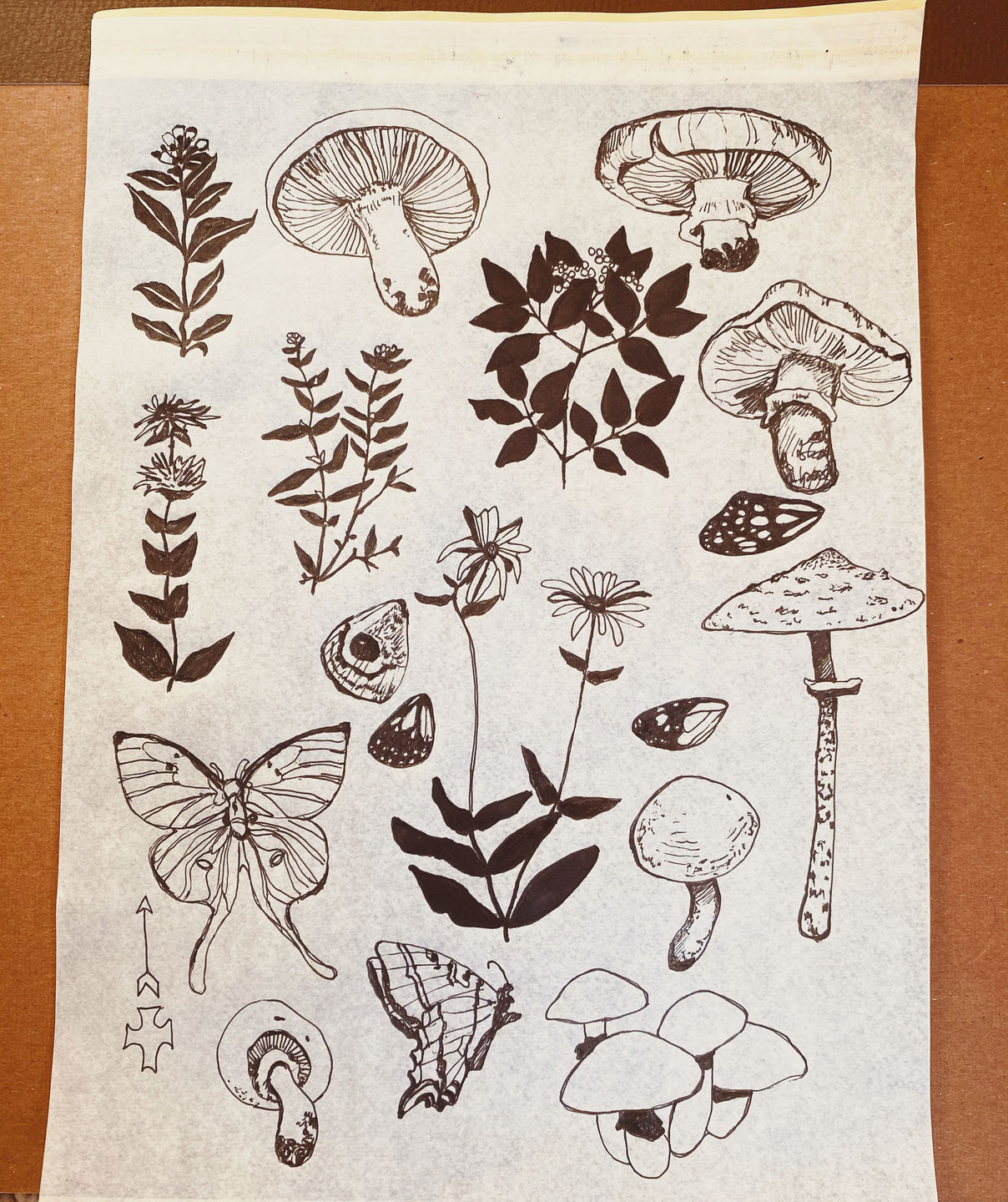 Eac6d429-3692-4e49-940f-fa12d9157e4b