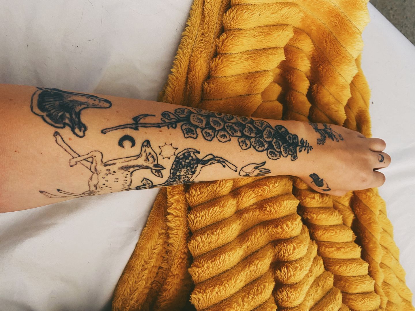 4286af09-10d6-4201-8270-aaa56339a3e6