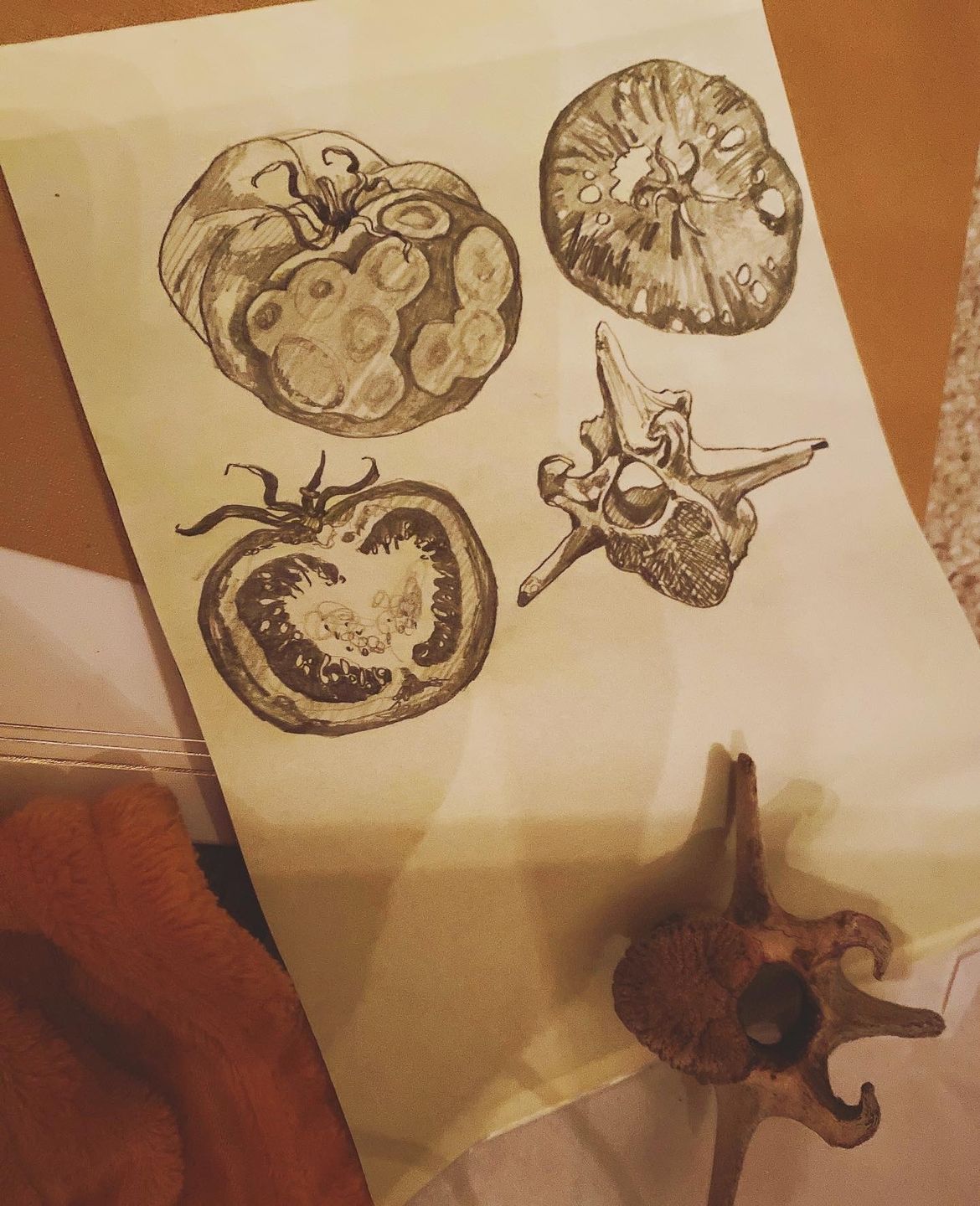 18bf7dfb-2ecc-4afb-8013-58dd13e1ac7a