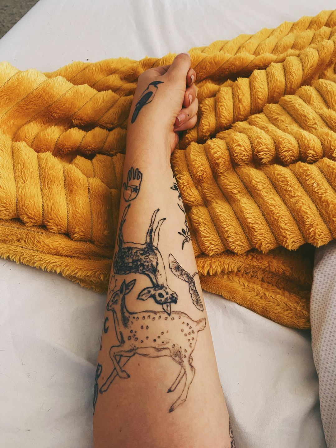 61f5ec56-3bce-4dbb-90e0-13c66f89b1aa