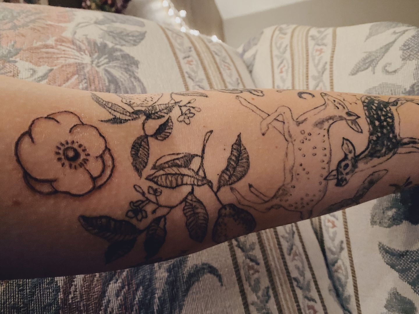 8cf73bc7-d2a9-42cd-a364-024f8d5bfe70-4b92c53e-867c-4c41-9719-27e77f940785