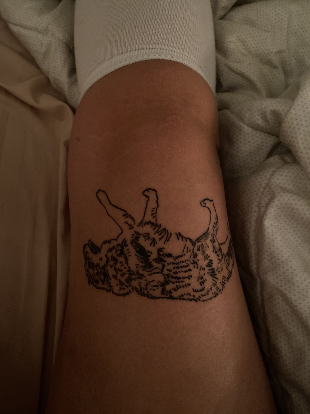 418cb611-71ad-4936-afd8-1c52b933f2ea