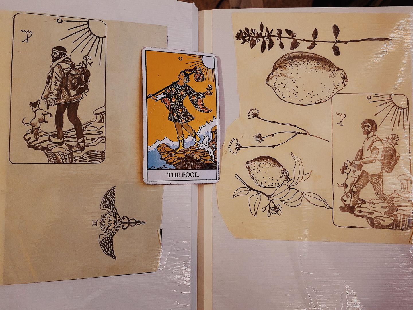 1aa4d2b9-e5c7-4561-9389-daa47083e84b-7a9a6b54-1b26-4f30-940d-86f643cf9920