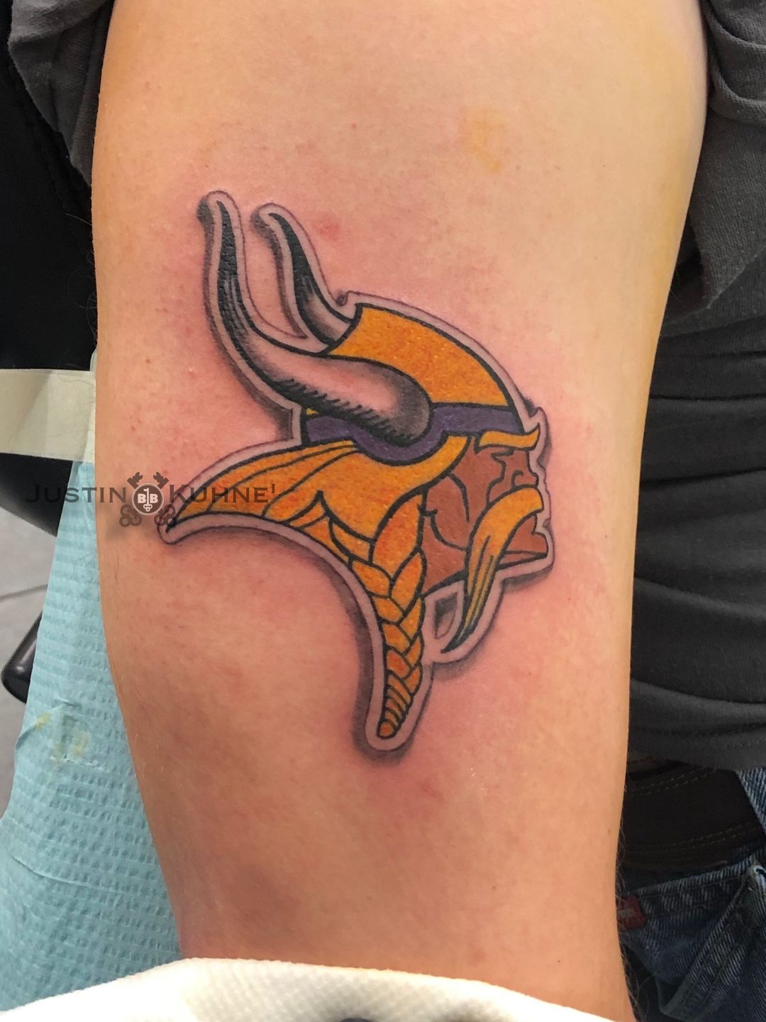 Mn_vikings