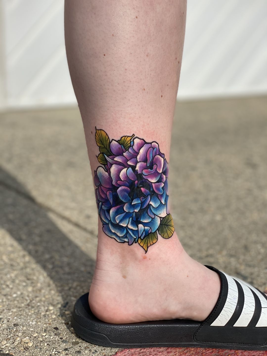 38f3d295-c2df-4373-9d73-f78d89cef4b4