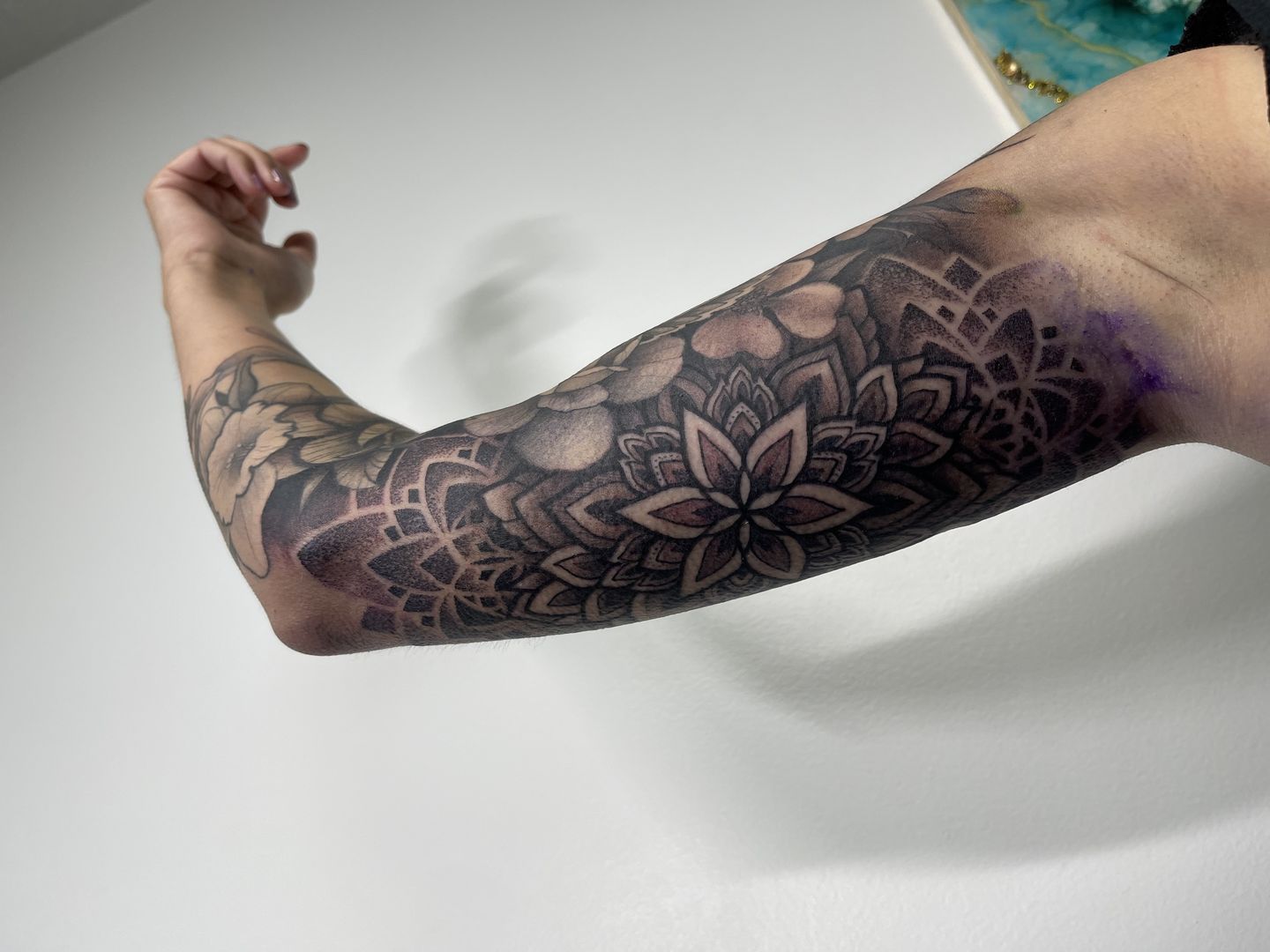 F6b8923e-6994-444b-b016-56ea6ccbb94e