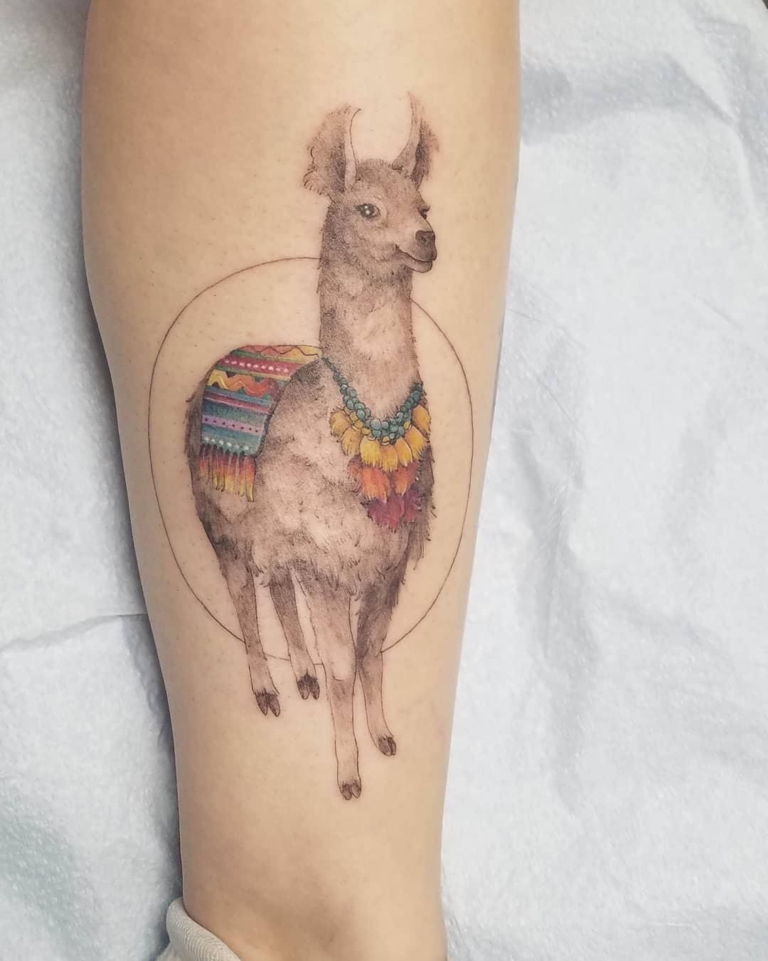 04b4c088-56e3-4897-ac8f-031504aad0fc