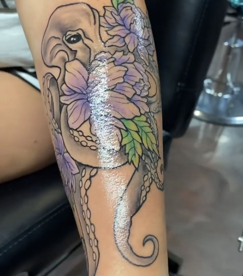 A1f1d502-146e-49ed-98c7-674f6de7b8e1