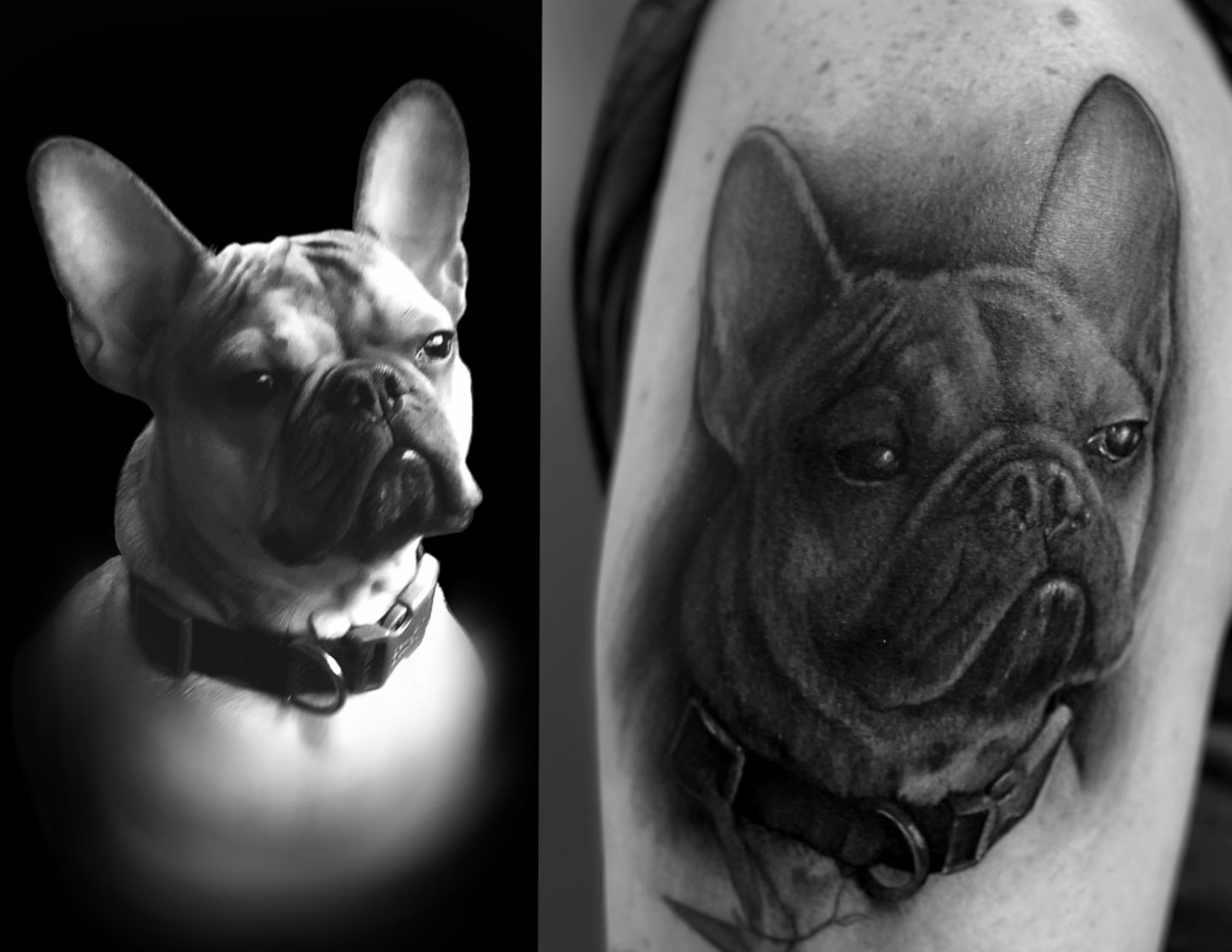 8627d944-6164-4bb0-9331-c6f1c003a589