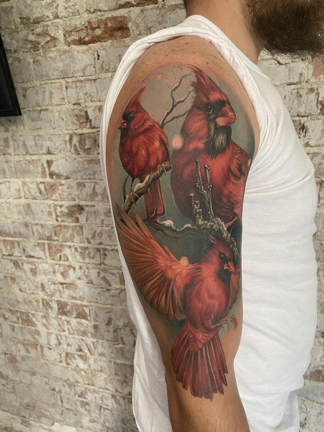 00c53579-d1ee-4777-af30-183c9cc4bd32