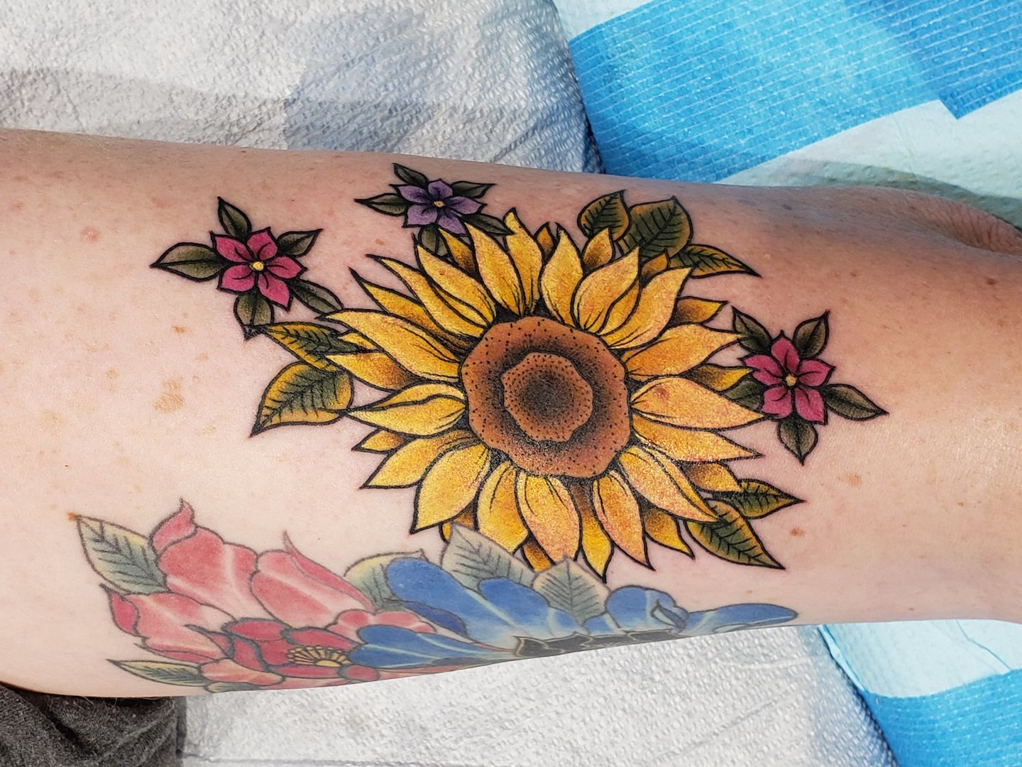 B914f685-95aa-4b94-bfdb-9d92b1ea7ac6