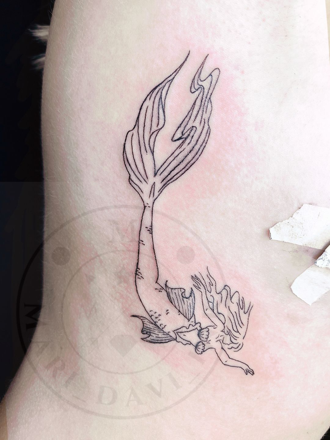 Fotogenic_76e9cf68-d26a-43e3-b851-93666bee4220