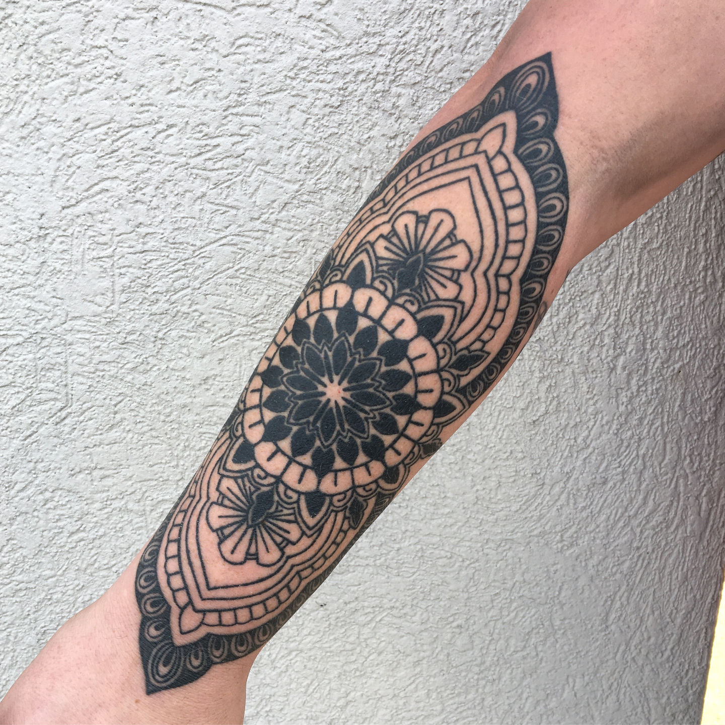 48fb4aad-ae71-44cb-911c-56d4bafd1652