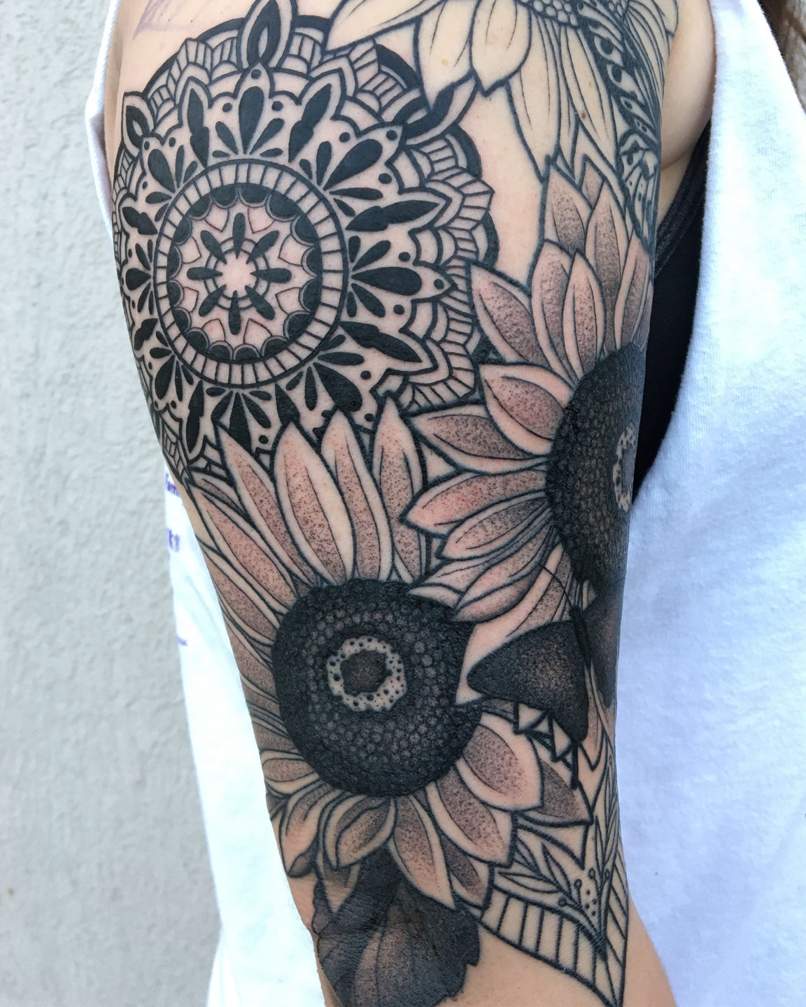 D58b7c97-8948-4819-b64c-61b3374c8e33