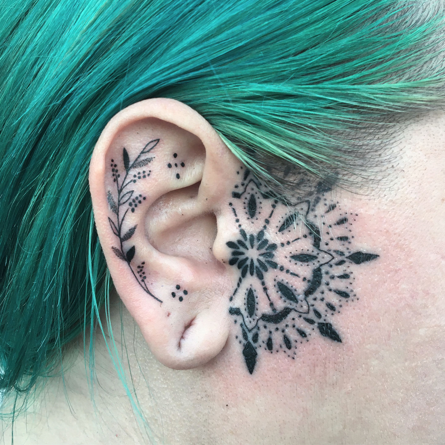 562ef36c-01d9-4377-a34f-f7df965ed558