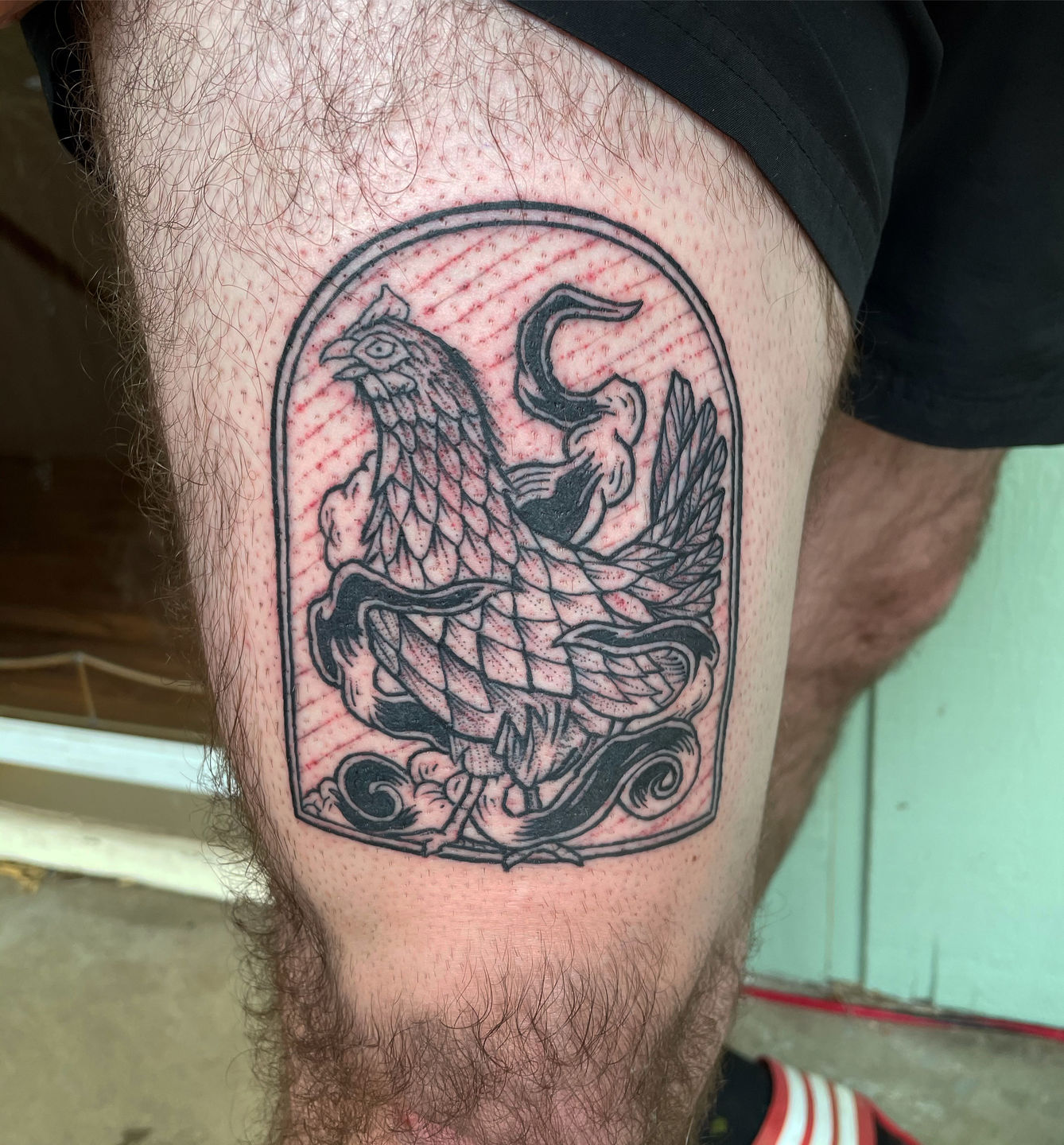 9ad8090f-c1b1-4042-976e-e0fafb787513