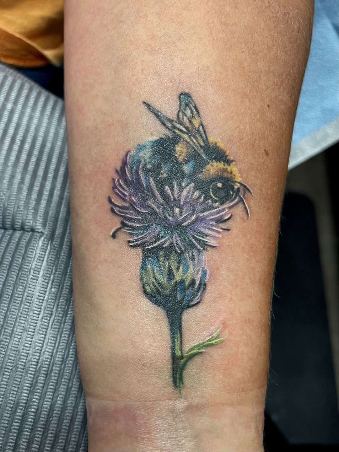 D81339fc-91b1-4847-9bdb-5e837e87ccba