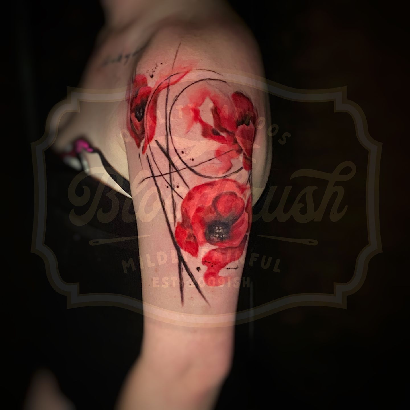 90a8c43a-eee9-4646-ab1a-147c4eaf11cc