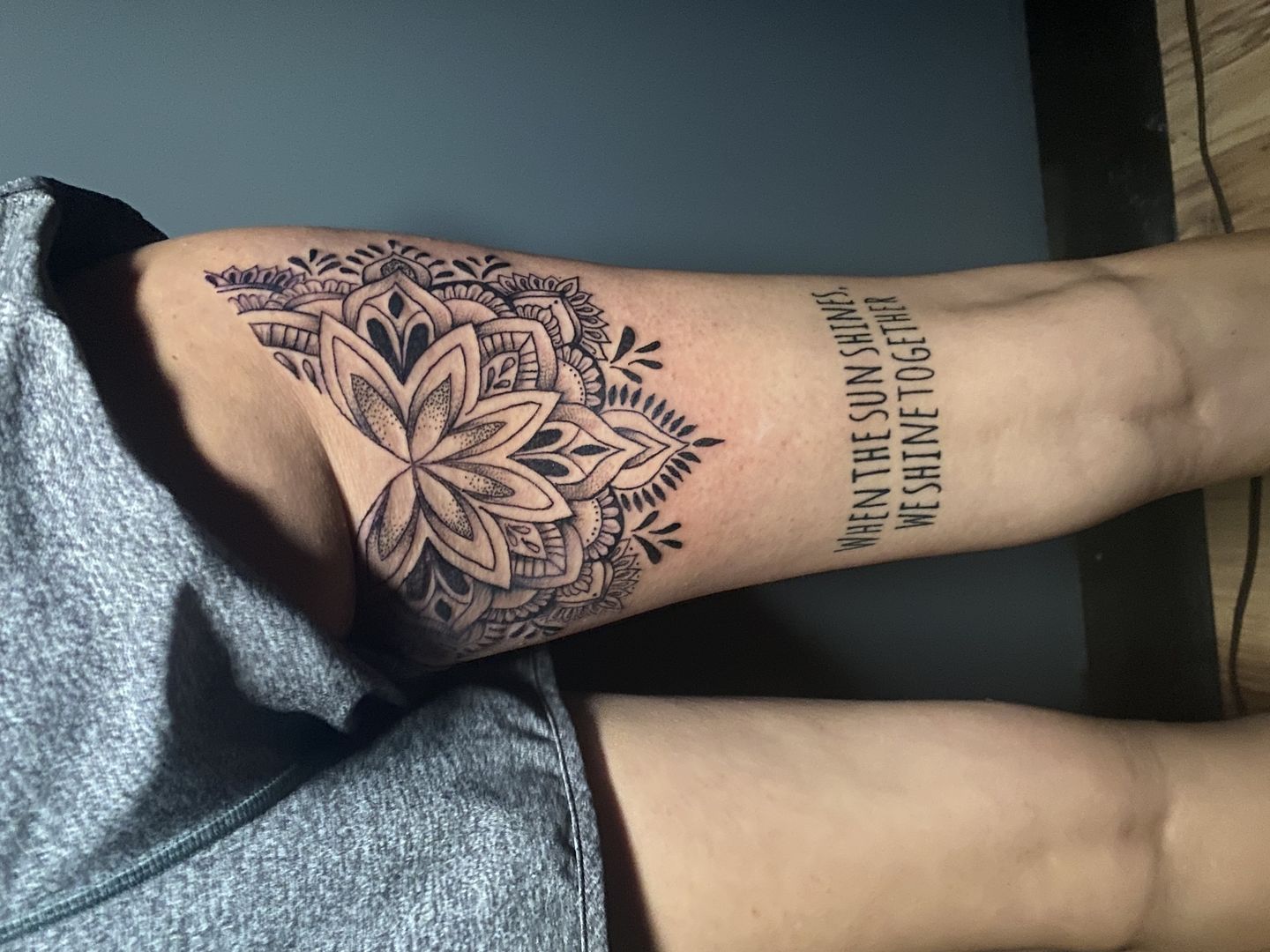 0e887a01-6d76-4cd9-a881-bcb18e11d29b