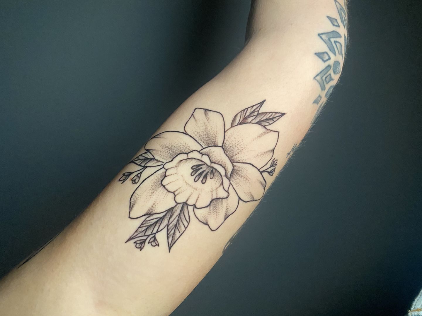 8be44e78-bebf-404c-bca6-606734793a1f