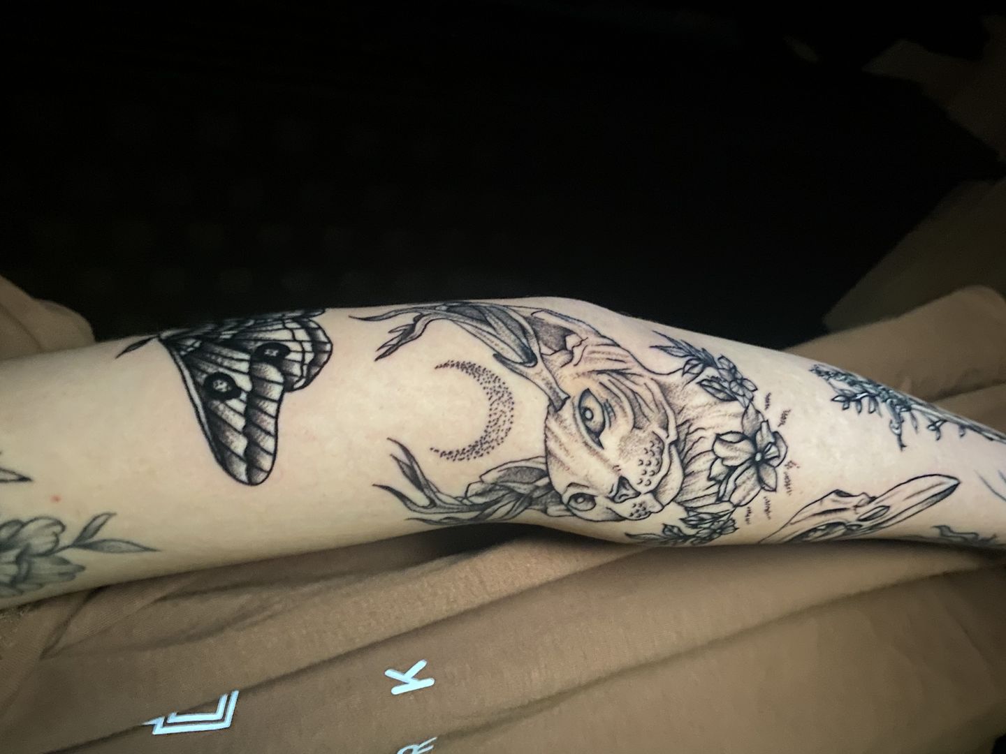 7bb577ce-0158-4fdb-bf63-5d160527d781